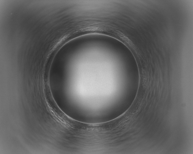 X0000058770482200510031050