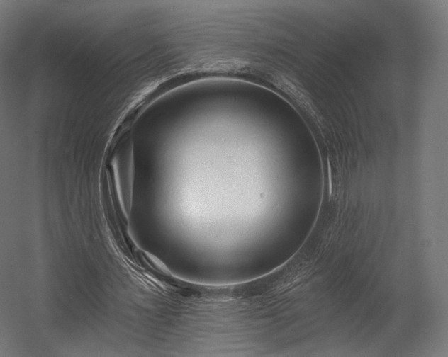 X0000058770483200510031050