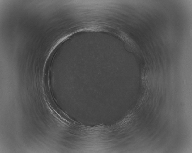 X0000058770484200510031050