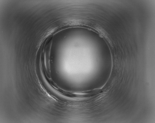 X0000058770485200510031050