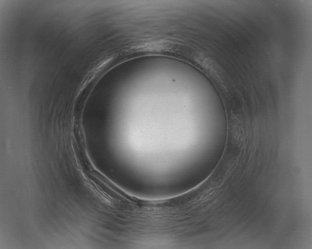 X0000058770486200510031049