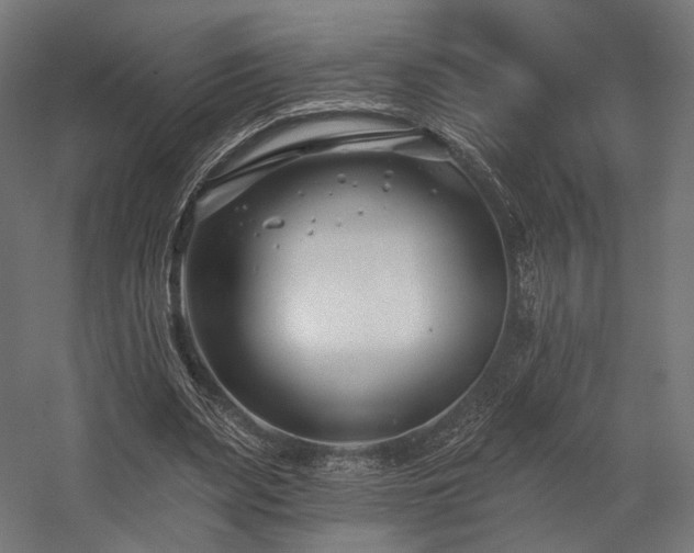 X0000058770487200510031049