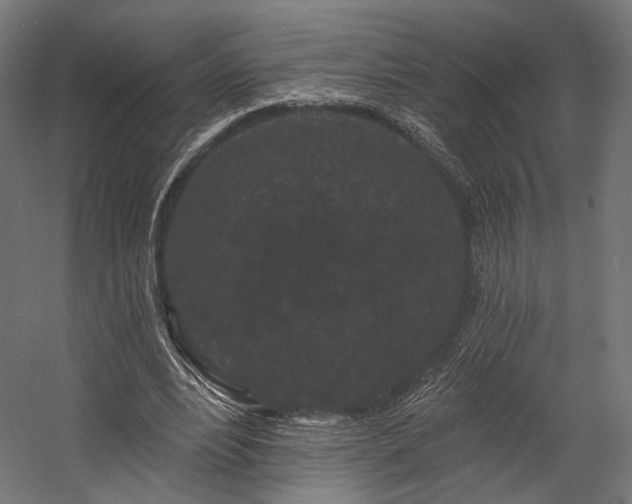 X0000058770488200510031049