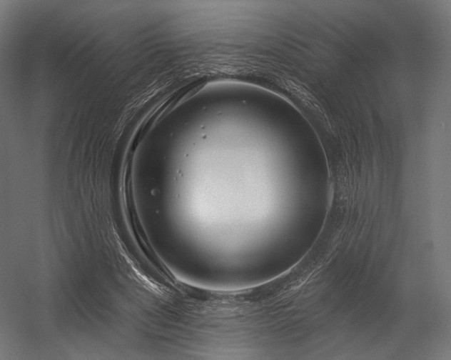 X0000058770489200510031049
