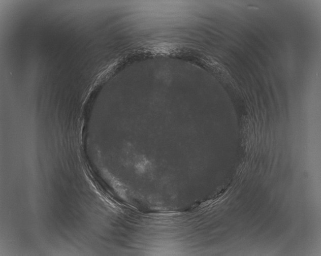 X0000058770496200510031049