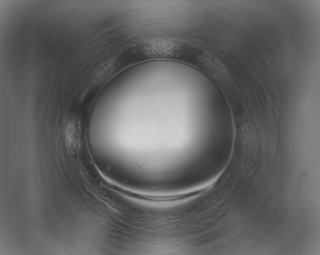 X0000058770498200510031049