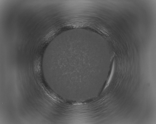 X0000058770499200510031049