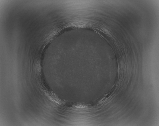 X0000058770500200510031049