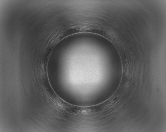 X0000058770506200510031049