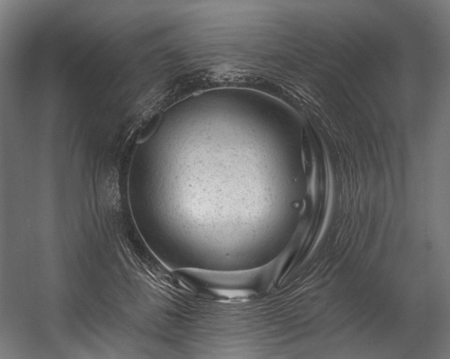X0000058770508200510031049