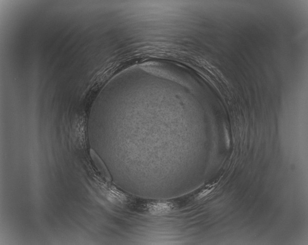 X0000058770513200510031049