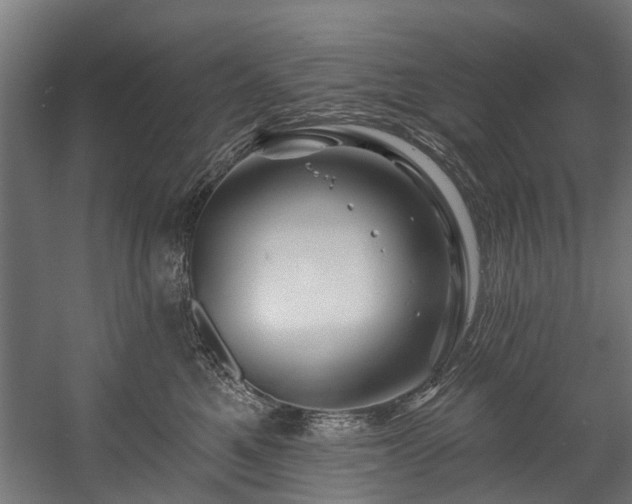 X0000058770521200510031049