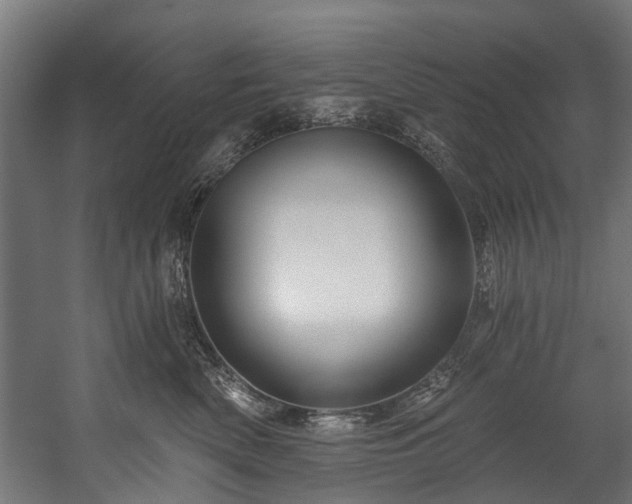 X0000058770522200510031049