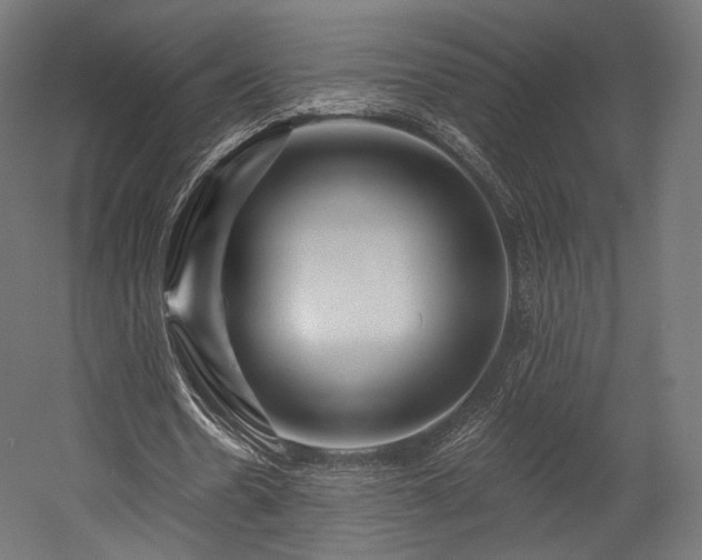 X0000058770530200510031048