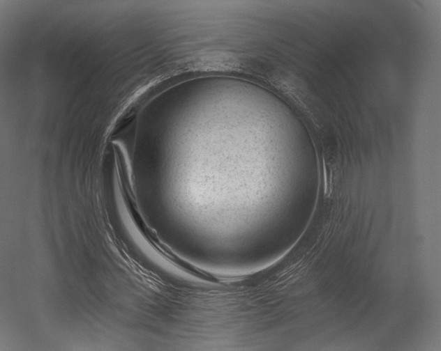 X0000058770531200510031048