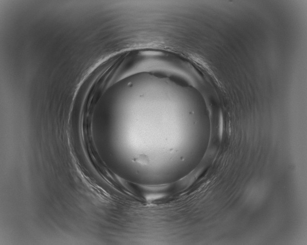X0000058770532200510031048