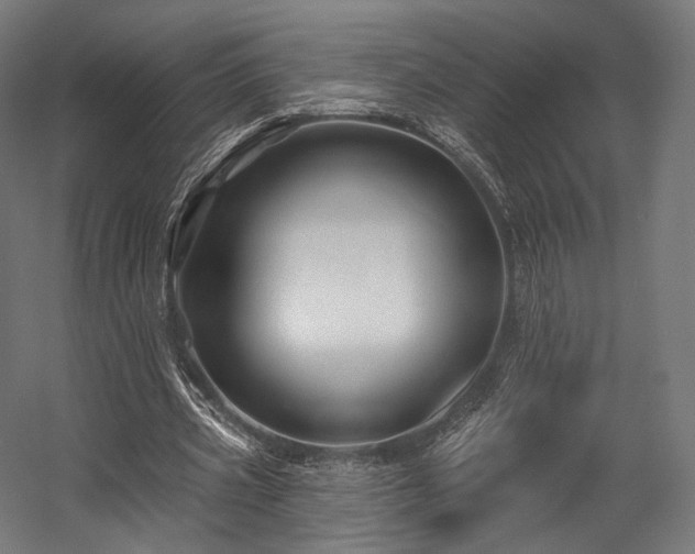 X0000058770533200510031048