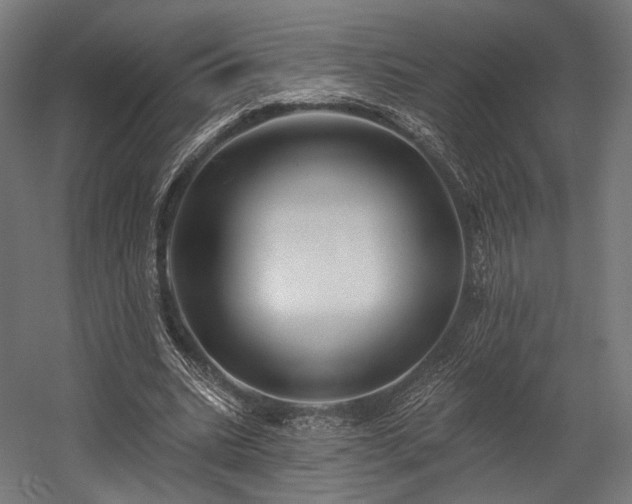 X0000058770535200510031048
