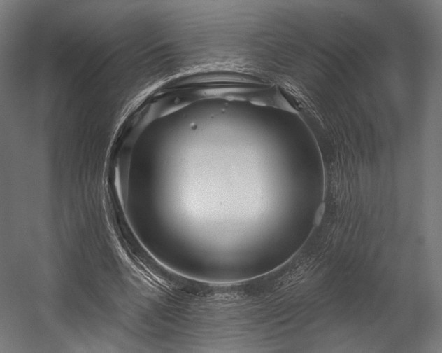 X0000058770536200510031048
