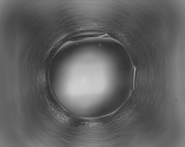 X0000058770539200510031048