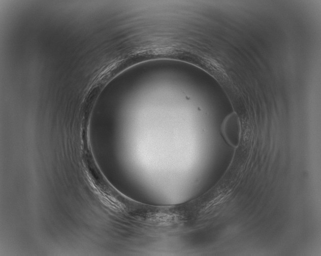 X0000058770542200510031048