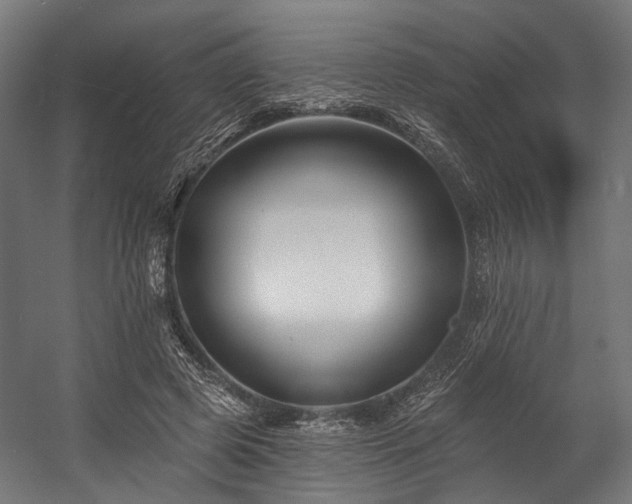 X0000058770545200510031048
