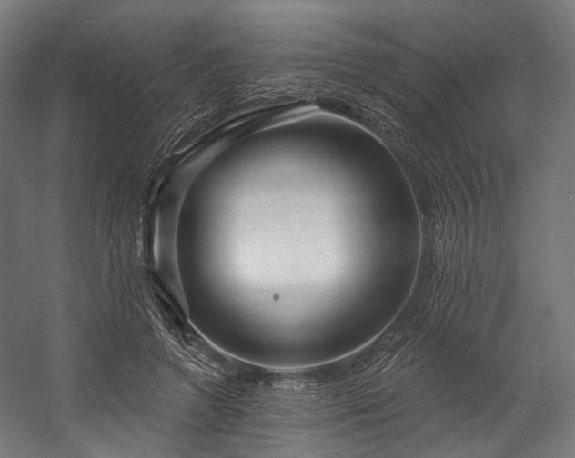 X0000058770546200510031048