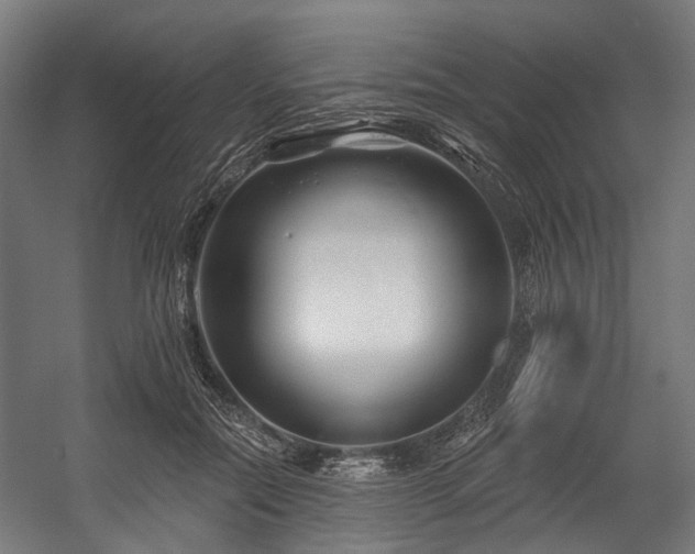 X0000058770554200510031048