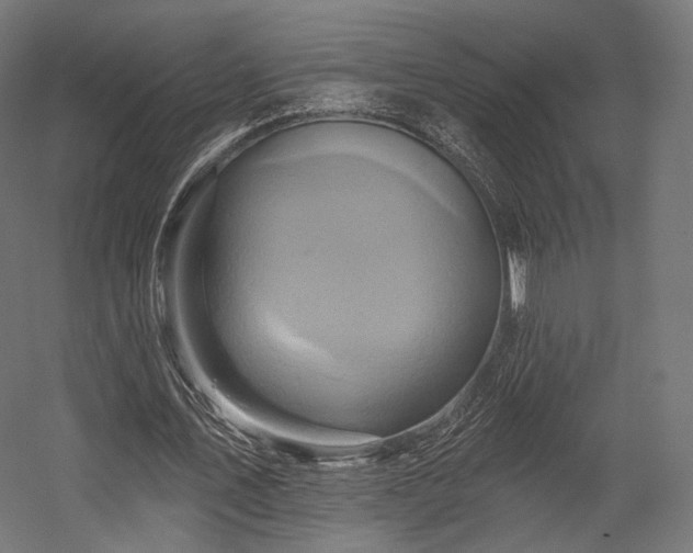 X0000058770579200510031048