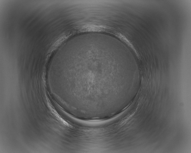 X0000058770581200510031048
