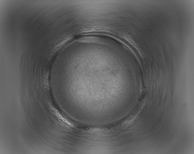 X0000058770585200510031048