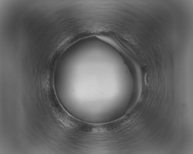 X0000058770591200510031048