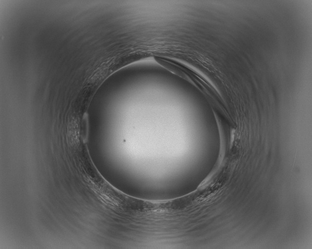 X0000058770593200510031048