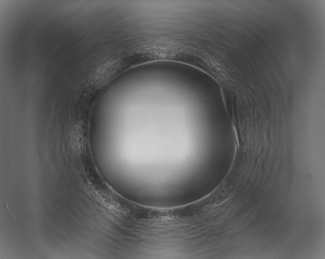 X0000058770594200510031048