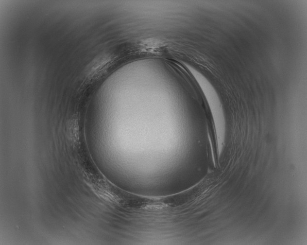 X0000058770595200510031048