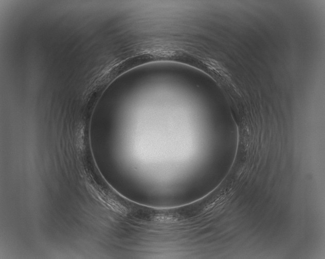 X0000058770596200510031048
