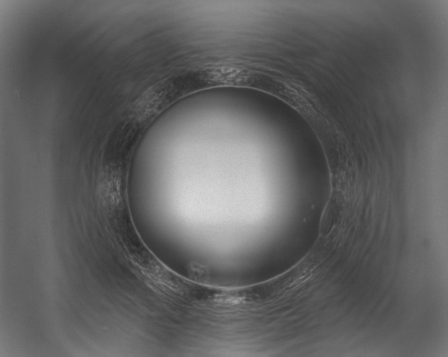 X0000058770602200510031047
