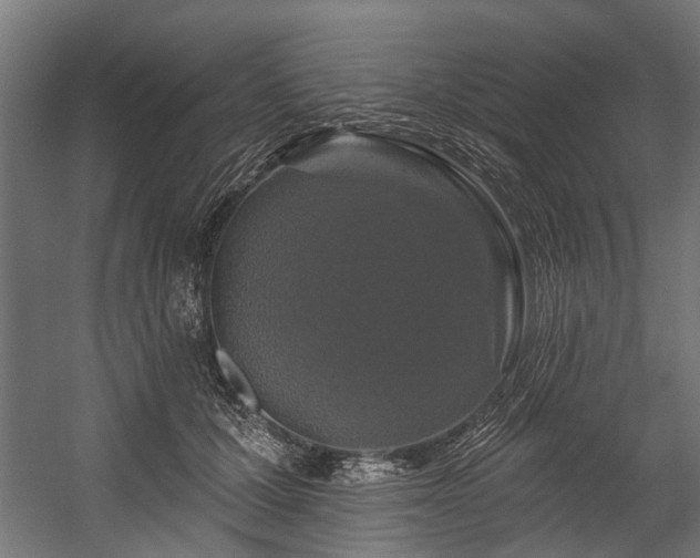 X0000058770607200510031047