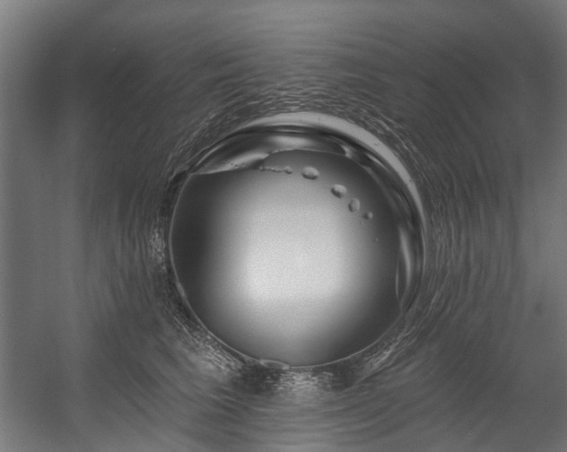 X0000058770613200510031047