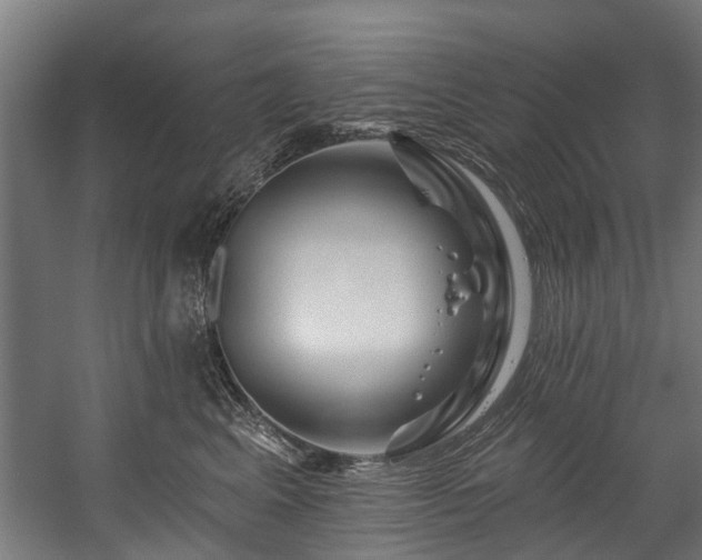 X0000058770617200510031047