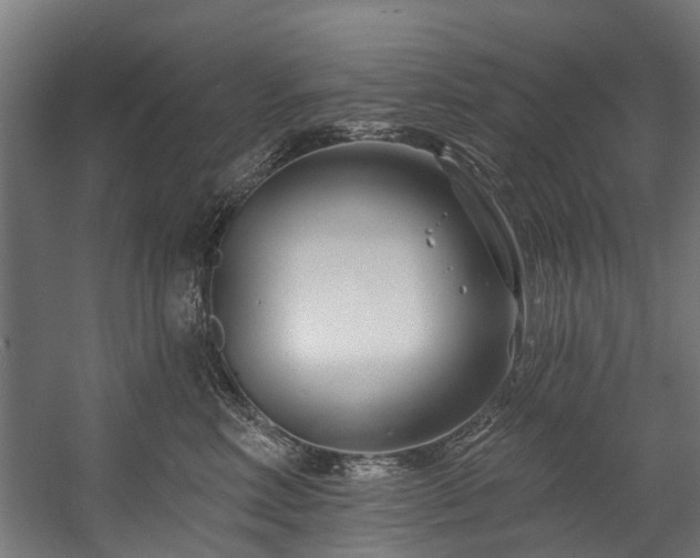 X0000058770618200510031047
