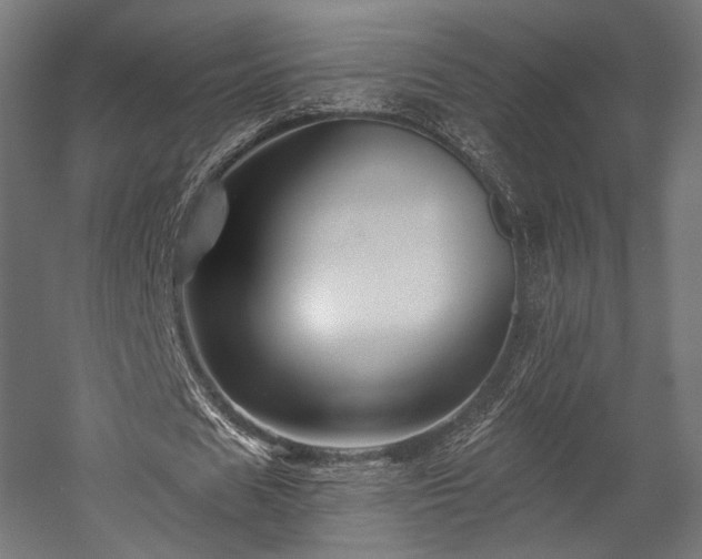 X0000058770625200510031046