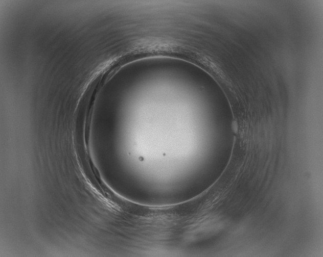 X0000058770629200510031046