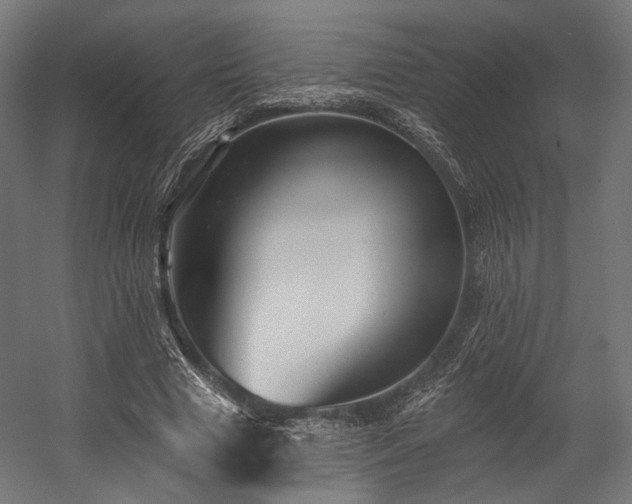 X0000058770633200510031046