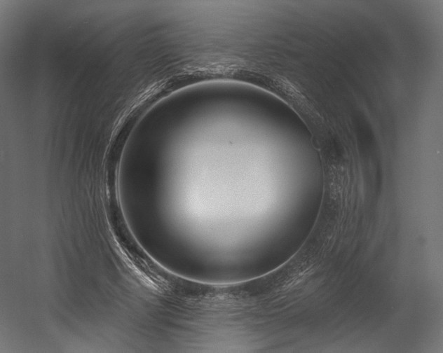 X0000058770634200510031046