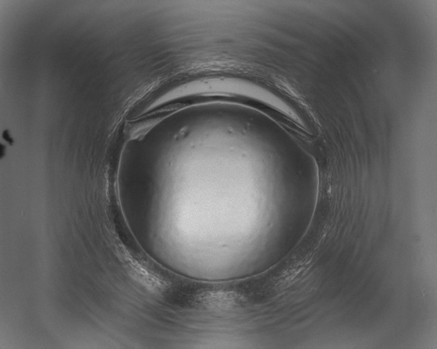 X0000058770637200510031046