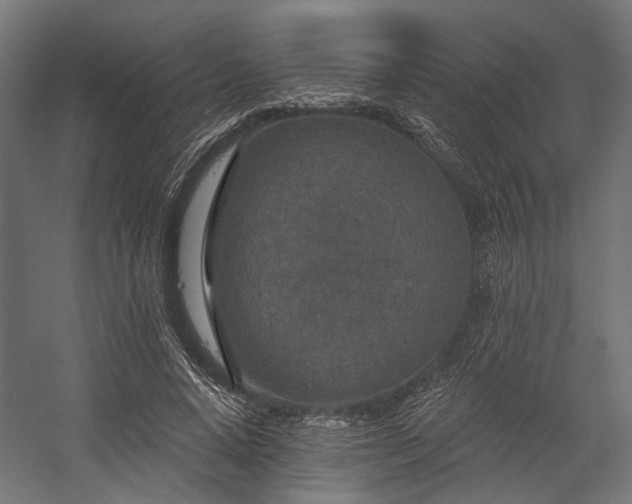 X0000058770640200510031047