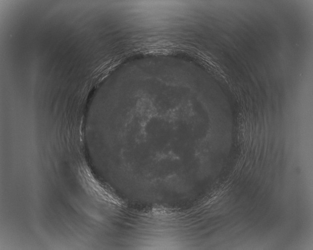 X0000058770641200510031047