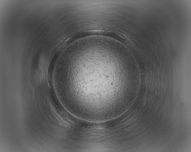 X0000058770643200510031047