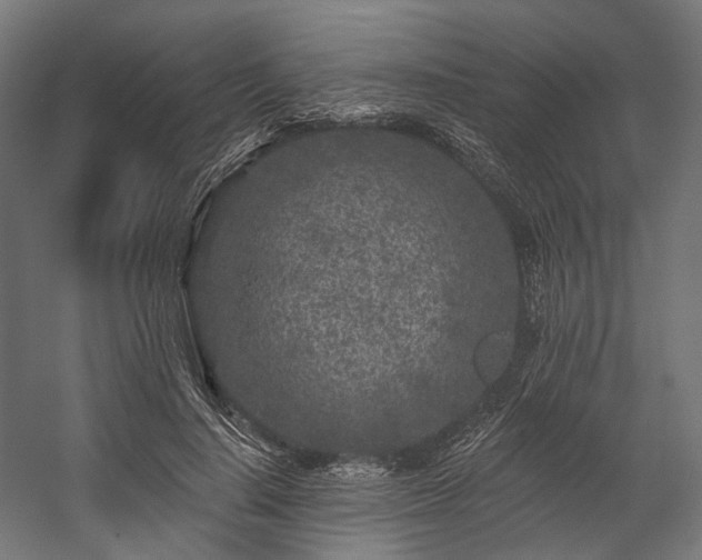 X0000058770644200510031047